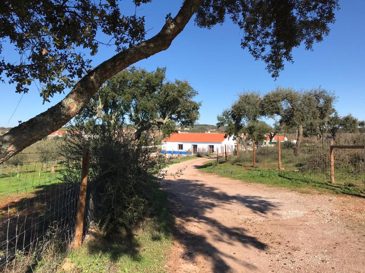 Herdade Da Maridona - Agroturismo Estremoz Esterno foto