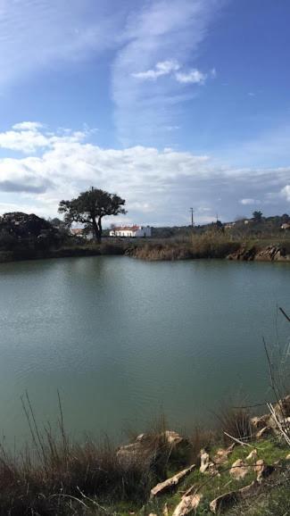 Herdade Da Maridona - Agroturismo Estremoz Esterno foto